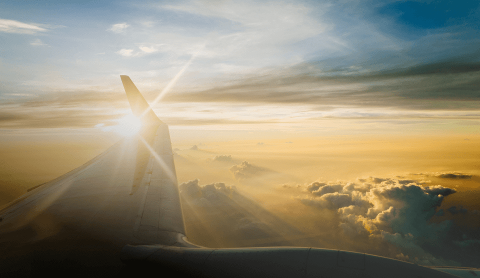 Imagen destacada de Lufthansa proyecto de SHERIDAN