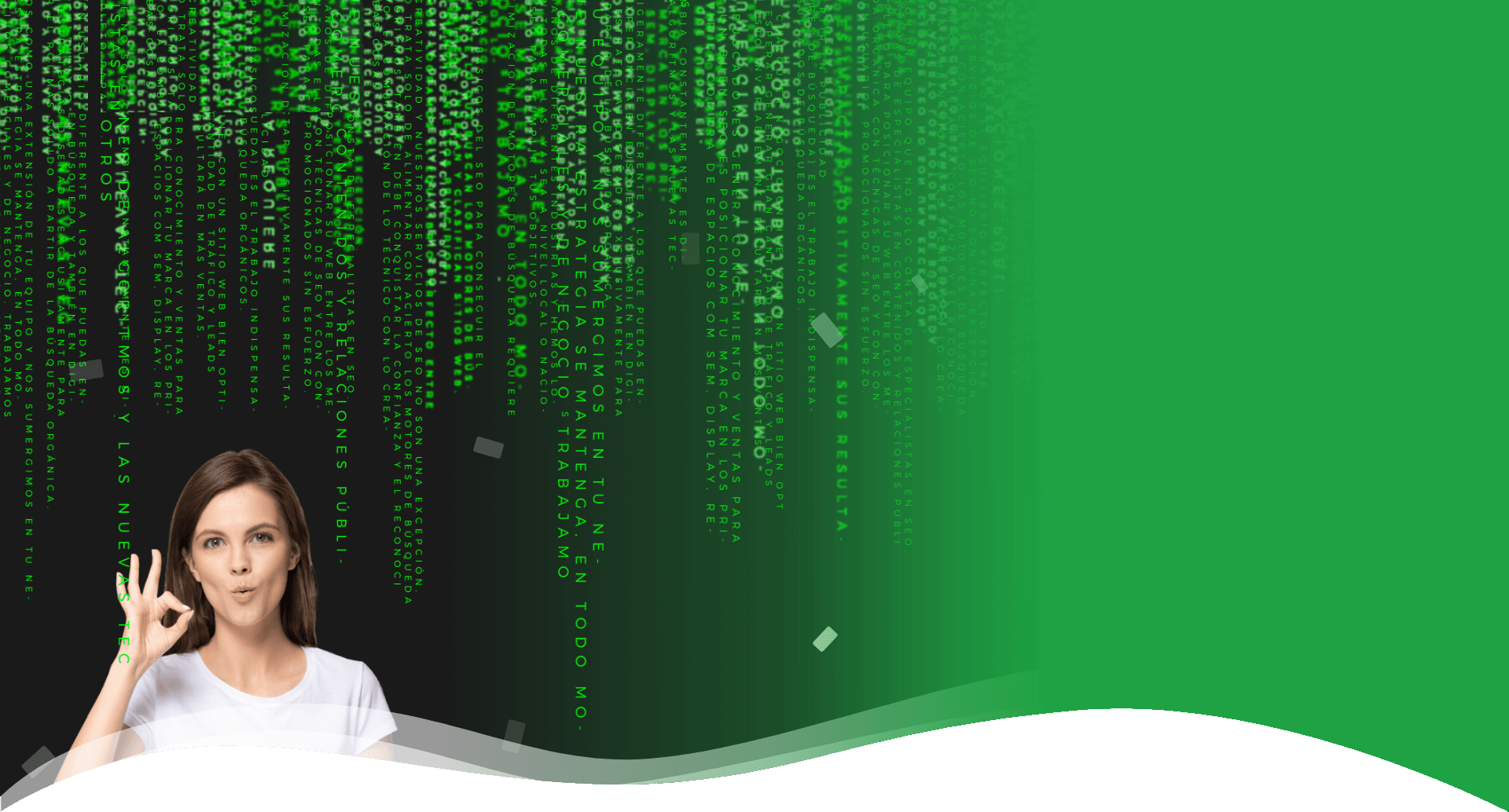 posicionamiento seo